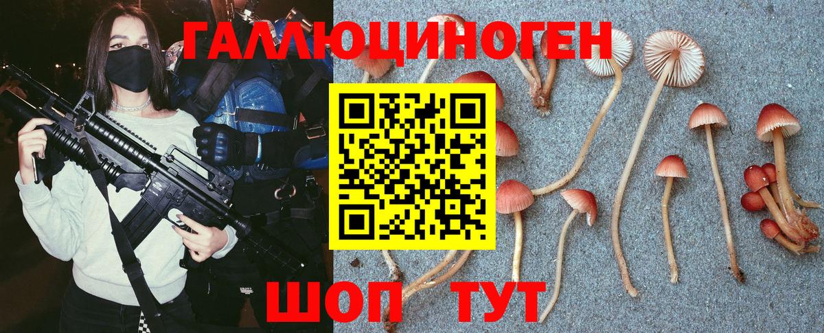 Галлюциногенные грибы Magic Shrooms Сунжа